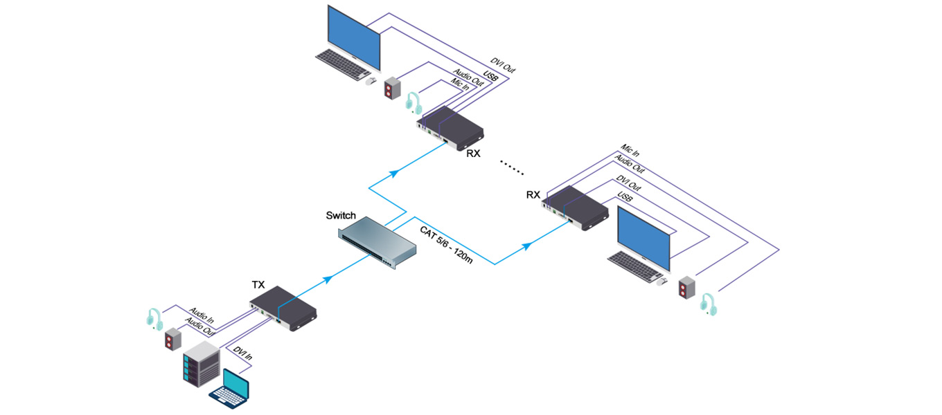 Point to Multi-point Transmission