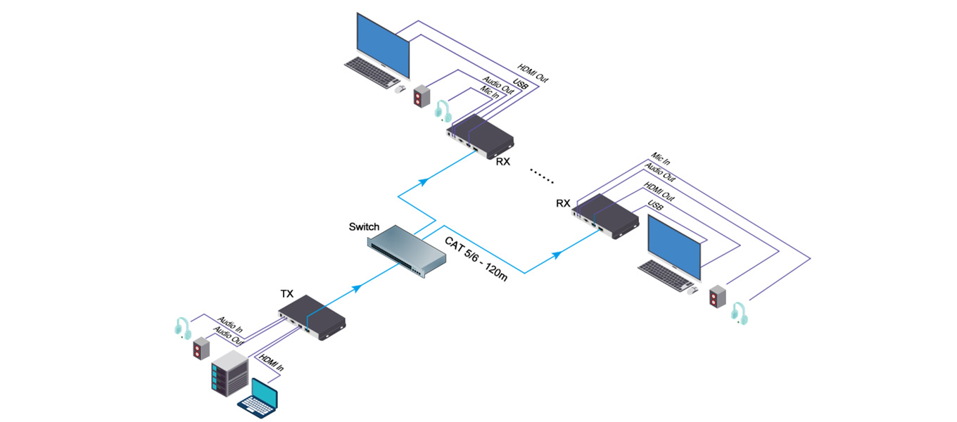 Point to Multi-point Transmission