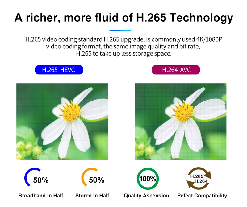 Why is H.265/hevc Increasingly Favored