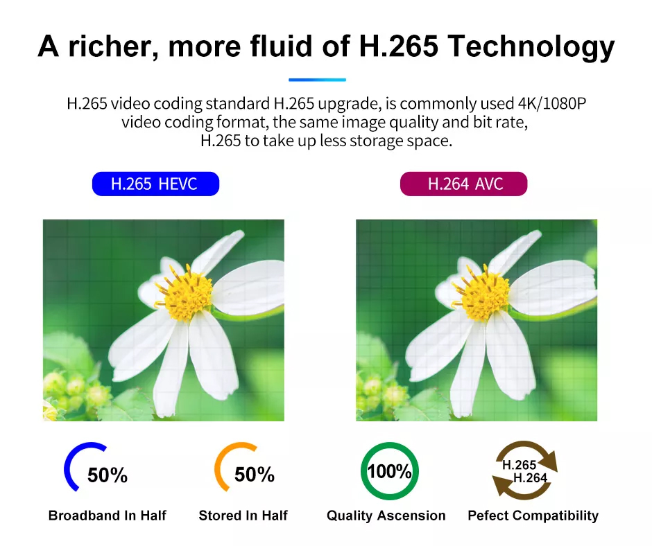 Why is H.265 HEVC Increasingly Favored