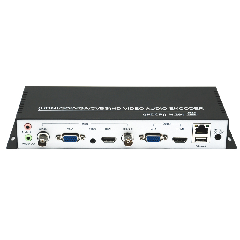 multi interface video encoder 1